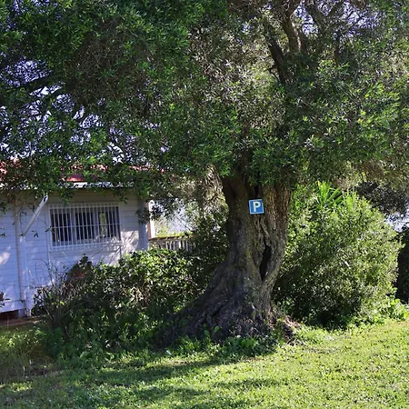La Zarzamora Country house Vejer de la Frontera
